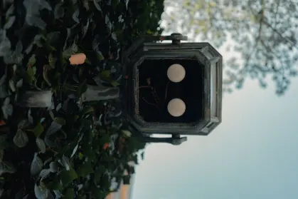 スピントロピス カジノ モバイルアプリ